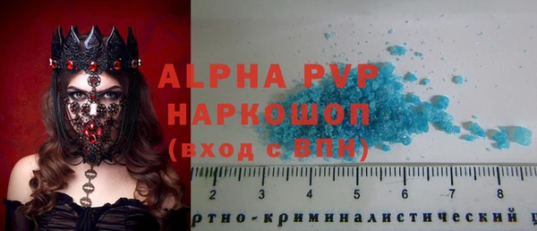 прущие грибы Волосово
