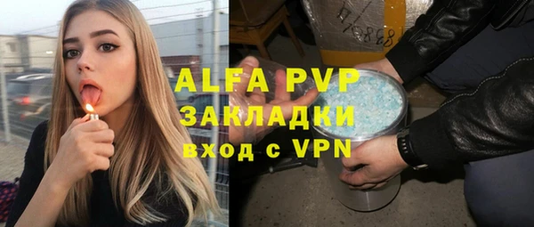 прущие грибы Волосово