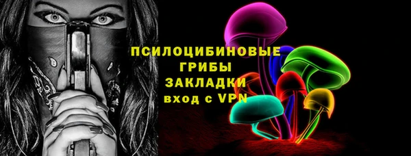 СК Волоколамск