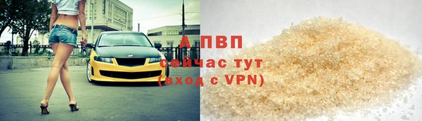прущие грибы Волосово