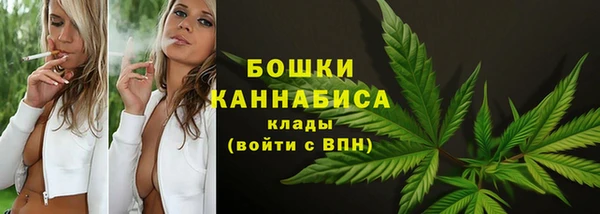 СК Волоколамск