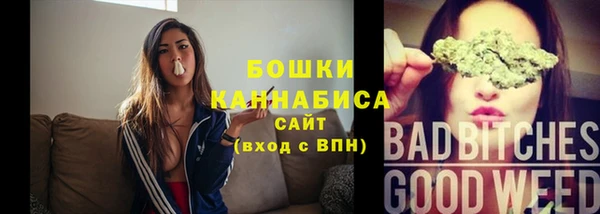 прущие грибы Волосово