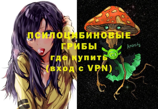 стафф Володарск