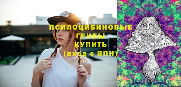 стафф Володарск