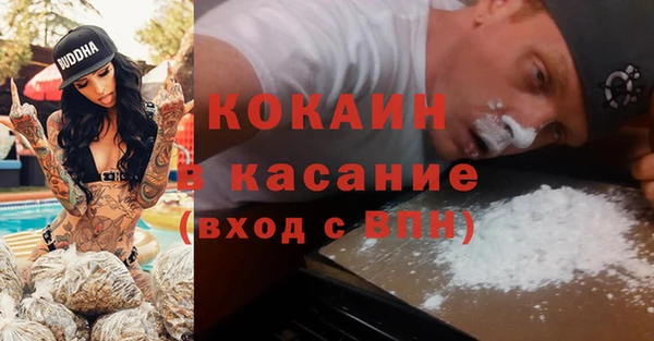прущие грибы Волосово