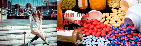 прущие грибы Волосово