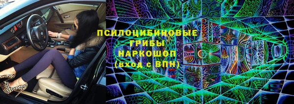 СК Волоколамск
