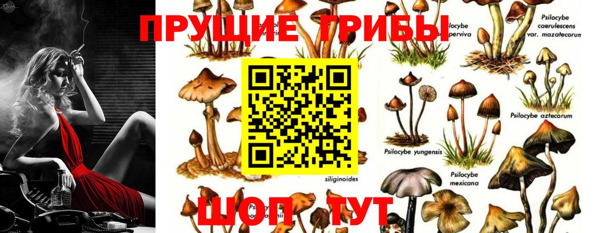 Галлюциногенные грибы GOLDEN TEACHER Валуйки