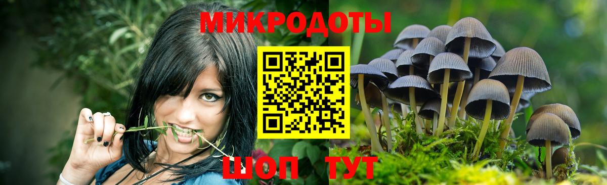 Валуйки  Псилоцибиновые грибы мухоморы  Псилоцибиновые грибы Psilocybe  где можно купить   Вход с VPN 